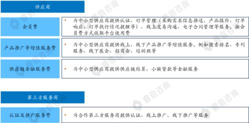 某電商公司戰略規劃項目案例 塑造新一代電子商務服務生態